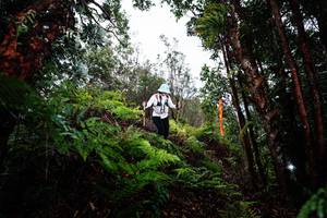 BIB: 
                            <button type="button" onclick="openModal(26205014)" class="btn btn-primary btn-sm float-right btn-popup" data-toggle="modal" data-target=".modal-high-quality">
                        <i class="fas fa-shopping-cart"></i> Add to Cart
                    </button>
                                            <button type="button" onclick="isThisMe(26205014, true)" class="btn btn-success btn-sm float-right btn-popup btn-isme hidden" data-toggle="tooltip" data-placement="bottom" title="นี่คือรูปของคุณใช่ไหม คลิกที่นี่เพื่อเอาเข้าอัลบั้ม">
                        <i class="fas fa-plus"></i> Add to album
                    </button>
                    <button type="button" onclick="isThisMe(26205014, false)" class="btn btn-warning btn-sm float-right btn-popup btn-isnotme hidden">
                        <i class="fas fa-ban"></i> Remove from album
                    </button>